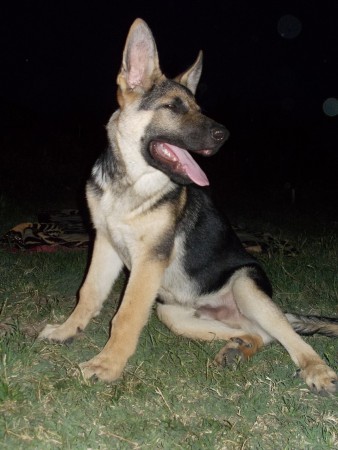 Ares